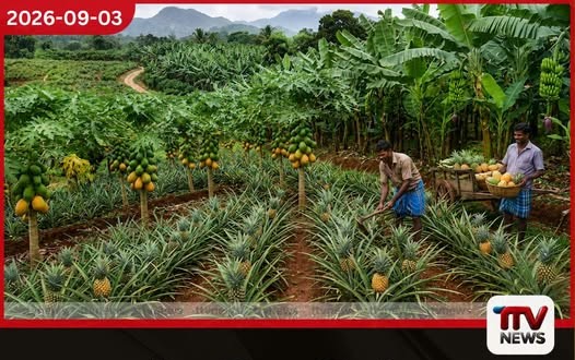 පලතුරු වගාවන් සඳහා නව රක්ෂණ ක්රමයක් හඳුන්වා දෙයි