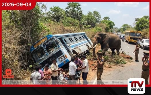 කතරගම පාරේ ගිය බස් රථයට වන අලියෙකු පහරදී පෙරළා දමයි