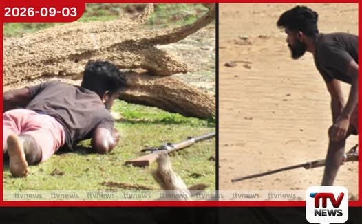 යාල වනෝද්යානයේ සංචාරකයන් බලාසිටියදී ගිනි අවි රැගත් දඩයක්කරුවන් මුවන් ලුහුබැඳීමේ වීඩියෝවක් සමාජ මාධ්යට!