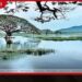 ලෝක බැංකු ආධාරයෙන් වැව් 296ක් ප්රතිසංස්කරණයට රු. මිලියන 5,800කට වැඩි මුදලක්
