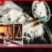 එකම නීතිඥයෙක්… එකම දිවුරුම් ප්‍රකාශකයෙක්…