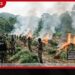 ඊශ්‍රායල හමුදා විනාශ කළ  ගාසා තීරයේ පාරම්පරික බීජ බැංකුව නැවත ගොඩනැගීමට දැවැන්ත මෙහෙයුමක්