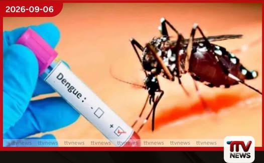 මෙම වසරේ ඩෙංගු මරණ 73ක් දක්වා ඉහළට