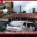 බගවන්තලාව තේ වත්තේ දළු නෙළමින් සිටි කාන්තාවකට කඳුකර කොටියෙකුගෙන් ප්රහාරයක්!