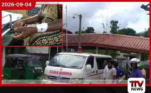බගවන්තලාව තේ වත්තේ දළු නෙළමින් සිටි කාන්තාවකට කඳුකර කොටියෙකුගෙන් ප්රහාරයක්!