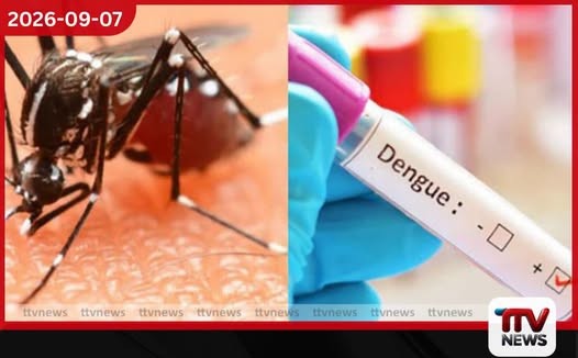 මෙම වසරේ ඩෙංගු මරණ 73 දක්වා ඉහළට