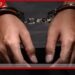 බීඩි කොළ තොගයක් සමග සැකකරුවෙකු වයික්කාලදී අත්අඩංගුවට!