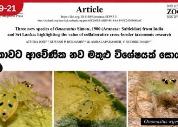 ශ්රී ලංකාවෙන් නව පිනුම් මකුළු විශේෂයක් හඳුනාගැනේ