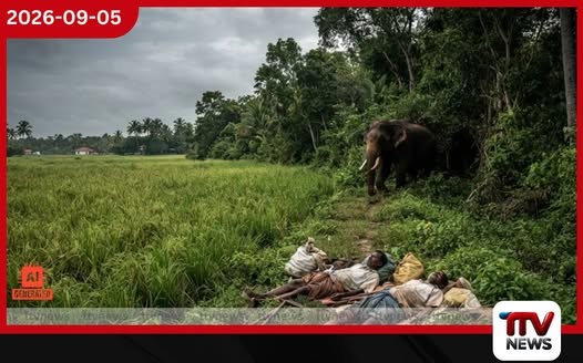 කැබිතිගොල්ලෑවේ වල්අලි ප්රහාරයකින් ගොවියන් දෙදෙනෙකු මරුට!