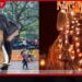 මින් ඉදිරියට කතරගම වාසනා හස්තියා මේ පෙරහරවලට දෙන්නේ නෑ…