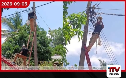 වන අලි තර්ජනයට මුහුණ දෙන ගගසිරිපුරට නැවත ආලෝකය