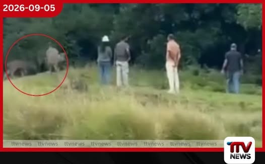 හෝර්ටන් තැන්න බලන්න ආපු සංචාරක පිරිස උද්යාන නීති උල්ලංඝනය කරමින් සතුන්ට හිරිහැර කරලා!