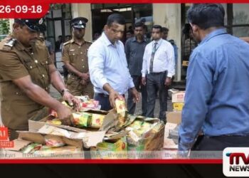 වසර පහක සිට ව්යාජ පලතුරු පාන බෙදාහැරීමේ ජාවාරමක නිරත වූ පුද්ගලයෙකුට මාලිගාකන්ද මහේස්ත්රාත් අධිකරණයෙන් දඩ