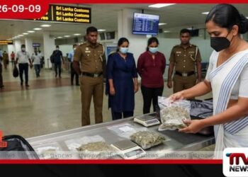 කෝටි 5කට අධික කුෂ් මත්ද්‍රව්‍ය සමඟ දෙමටගොඩ සහ තොටළඟ පදිංචි ව්‍යාපාරික කාන්තාවන් දෙදෙනෙක් කටුනායකදී අත්අඩංගුවට
