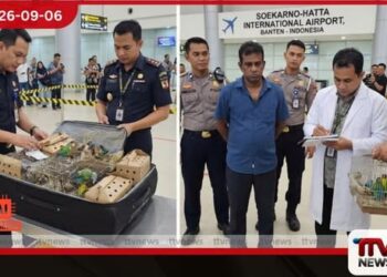 ගමන්මල්ලේ පෙට්ටි 15ක  සඟවාගෙන ගිය පක්ෂීන් 101ක්!