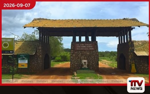ජල හිඟයත් දැඩි උණුසුමත් හමුවේ වන සතුන්ගේ තාප ආතතිය ගැන අවධානයෙන් යාල ජාතික වනෝද්යානයේ කලාප 01 සහ 02 වසා දැමේ!