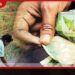 එල්නිනෝ වගා හානි සඳහා  වන්දි ගෙවීම් ලබන සතියේ සිට ඇරඹේ