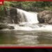 වියළි කාලගුණය මැද සිංහරාජයට අලුත් ජීවයක්