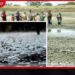 මාස තුනක දැඩි නියඟය නිමා කරමින් පොළොන්නරුවට හදිසි වැසි!
