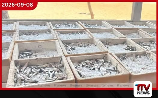 නීතිවිරෝධීව ඇල්ලූ මාළු කිලෝ 3,200ක් සමඟ කාන්තාවක් නාවික හමුදාවට මාට්ටු!