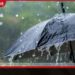 දිවයිනේ ප්‍රදේශ කිහිපයකට අද පස්වරුවේ මිලිමීටර් 75 ඉක්මවූ තද වැසි