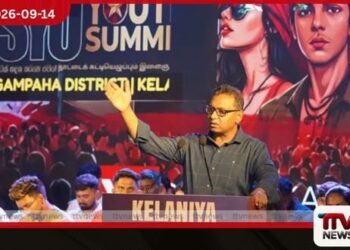 අනාගතයේ තීරණාත්මක බලවේගය Gen Z සහ ඇල්ෆා පරම්පරාවයි
