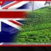 තලවාකැලේ තේ පර්යේෂණ ආයතනයේ සුහුරු සරු බිම ව්‍යාපෘතියට ඕස්ට්‍රේලියානු රජයෙන් අනුග්‍රහය