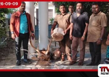 පොල්ගහවෙල සහ අලව්ව ප්‍රදේශවලින්  වන සත්ව කොටස් සහ  නීතිවිරෝධී මස් සමඟ  5ක් අත්අඩංගුවට