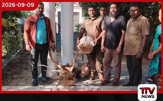 පොල්ගහවෙල සහ අලව්ව ප්රදේශවලින් වන සත්ව කොටස් සහ නීතිවිරෝධී මස් සමඟ 5ක් අත්අඩංගුවට