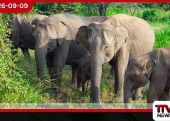 දැඩි වියළි කාලගුණය හේතුවෙන් පොළොන්නරුව හුරුලු පාරිසරික උද්යානය තාවකාලිකව වසා දමයි