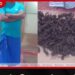 විල්පත්තුව ආසන්න හේනක වේලූ ගෝන මස් කිලෝ 12කට අධික ප්රමාණයක් සමඟ සැකකරුවෙක් අත්අඩංගුවට!