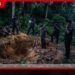 පුරාවස්තු සෙවීමට ඉඩමක කැණීම් කළ තිදෙනෙක් බුලත්සිංහලදී අත්අඩංගුවට