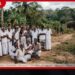 කොටවෙහෙරදී වන අලි ප්‍රහාරයකින් 82 හැවිරිදි පුද්ගලයෙකු මරුට