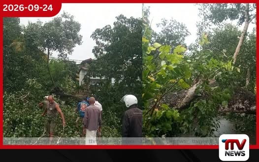 මාලිම්බඩ ශ්රී ඉන්ද්රාරාම විහාරයට පිවිසෙන මාර්ගයට විශාල බෝ ගසක් කඩා වැටෙයි