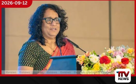 නගරය මිනිසුන්ට මෙන්ම සතුන්ටත් අයිතියි