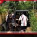 වයර් උගුලකට හසු වූ කඳුකර දිවියෙක් බේරා ගැනීමට ගිය වනජීවී පශු වෛද්‍යවරයෙකුට දිවියා ප්‍රහාරයක් එල්ල කරයි