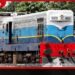 ගෙදර බල්ලා රෙජිස්ටර් කිරීම අනිවාර්යයි
