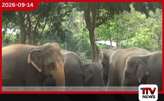 ලංකා IOC, සයිනොපෙක් සහ ආර්.එම්. පාර්ක් සමාගම් ඉන්ධන සැපයුම අඩු කරලා පිරවුම්හල් හිමියන් කියයි!