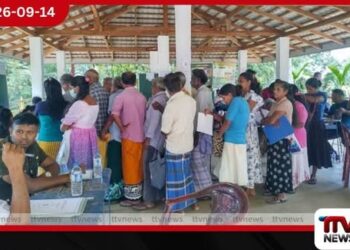 අනාගතයේ තීරණාත්මක බලවේගය Gen Z සහ ඇල්ෆා පරම්පරාවයි
