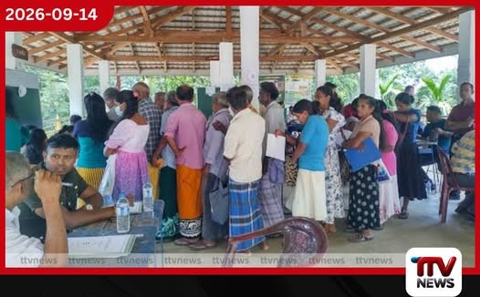 අනාගතයේ තීරණාත්මක බලවේගය Gen Z සහ ඇල්ෆා පරම්පරාවයි