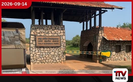 දැඩි නියඟය හමුවේ යාල ජාතික වනෝද්යානයේ කලාප 1 සහ 2 අද සිට වසා දැමේ…
