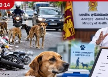මෙරට මාර්ග අනතුරුවලින් 30%කට හේතුව සුනඛයන්