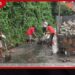 පළාත් පාලන සතියට සමගාමීව හැටන් බස් නැවතුම්පොළ සහ අවට පරිශ්රය පිරිසිදු කෙරේ