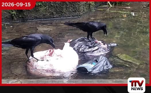 බගවන්තලාව බ්රිඩ්වෙල්ඔයට කුකුළු මස් අපද්රව්ය හා කැළිකසල බැහැර කිරීමෙන් දැඩි පරිසර හානියක්