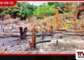 වන විනාශය හෝ පරිසර හානියක් ගැන දැනුම්දීමට 1995ට කතා කරන්න