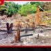 වන විනාශය හෝ පරිසර හානියක් ගැන දැනුම්දීමට 1995ට කතා කරන්න