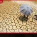 වියළි කාලගුණික තත්ත්වය හේතුවෙන් පීඩාවට පත් පිරිස 163,500 ඉක්මවයි