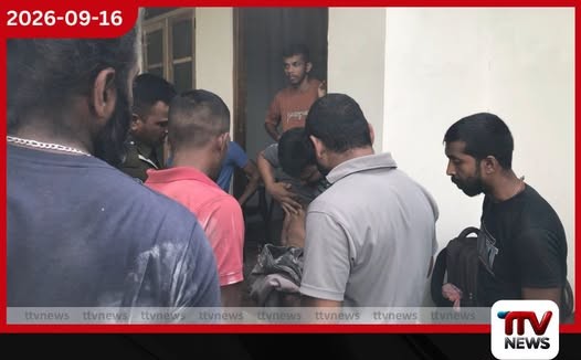 මද්දට හසු වූ කඳුකර කොටියා නිර්වින්දනය කර මුදාගන්න යද්දී පශු වෛද්යවරයාට පහර දී මද්ද කඩාගෙන රක්ෂිතයට පනී!