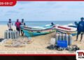 නීතිවිරෝධී ලෙස මුහුදු කූඩැල්ලන් ඇල්ලූ සැකකරුවන් 7ක් අත්අඩංගුවට