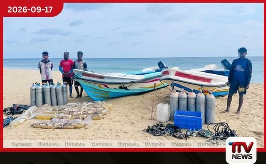 නීතිවිරෝධී ලෙස මුහුදු කූඩැල්ලන් ඇල්ලූ සැකකරුවන් 7ක් අත්අඩංගුවට
